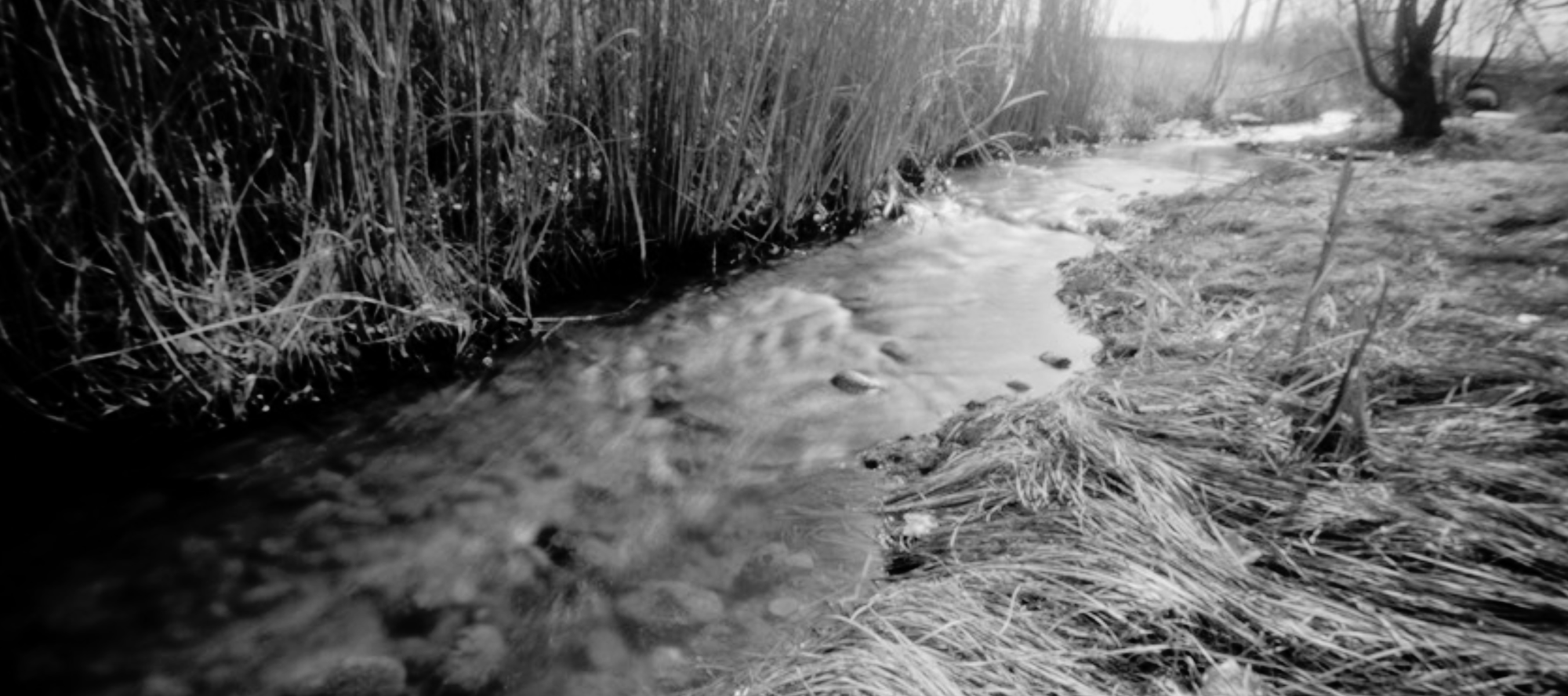 Voices in the River